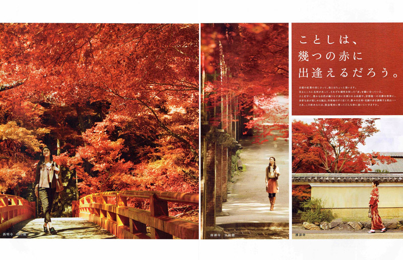 紅葉めぐり「阪急で紅葉の王国へ」2012パンフレット